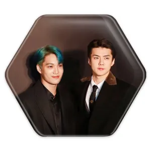 پیکسل شش ضلعی گروه اکسو EXO
