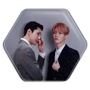 پیکسل شش ضلعی گروه اکسو EXO