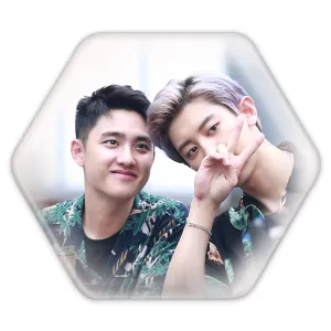 پیکسل شش ضلعی گروه اکسو EXO