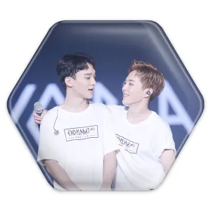 پیکسل شش ضلعی گروه اکسو EXO