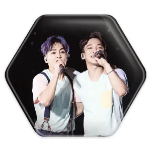 پیکسل شش ضلعی گروه اکسو EXO
