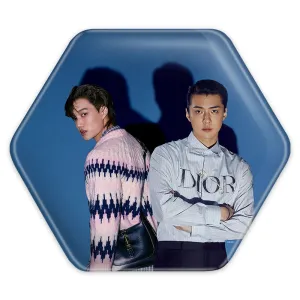 پیکسل شش ضلعی گروه اکسو EXO