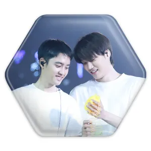 پیکسل شش ضلعی گروه اکسو EXO