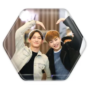 پیکسل شش ضلعی گروه اکسو EXO
