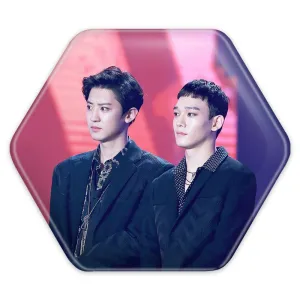 پیکسل شش ضلعی گروه اکسو EXO