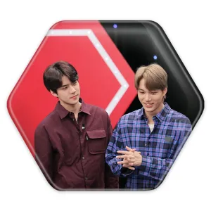 پیکسل شش ضلعی گروه اکسو EXO