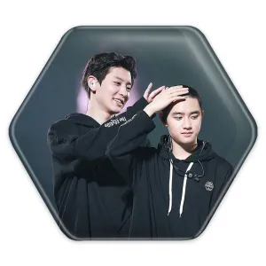 پیکسل شش ضلعی گروه اکسو EXO