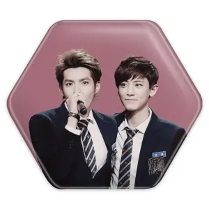 پیکسل شش ضلعی گروه اکسو EXO