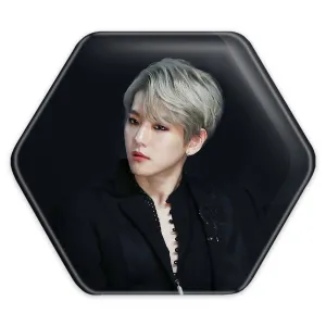 پیکسل شش ضلعی بکهیون گروه اکسو EXO
