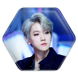 پیکسل شش ضلعی بکهیون گروه اکسو EXO