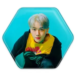 پیکسل شش ضلعی بکهیون گروه اکسو EXO