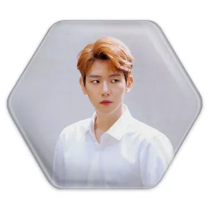 پیکسل شش ضلعی بکهیون گروه اکسو EXO
