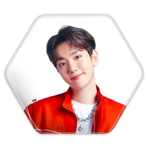 پیکسل شش ضلعی بکهیون گروه اکسو EXO