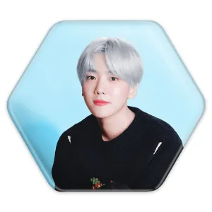 پیکسل شش ضلعی بکهیون گروه اکسو EXO