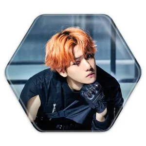 پیکسل شش ضلعی بکهیون گروه اکسو EXO