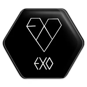 پیکسل شش ضلعی گروه اکسو EXO