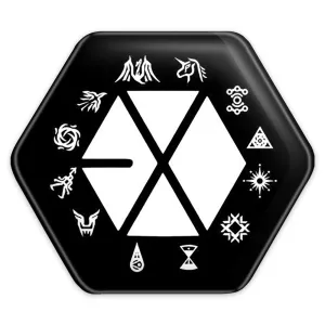 پیکسل شش ضلعی گروه اکسو EXO