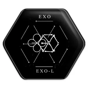 پیکسل شش ضلعی گروه اکسو EXO