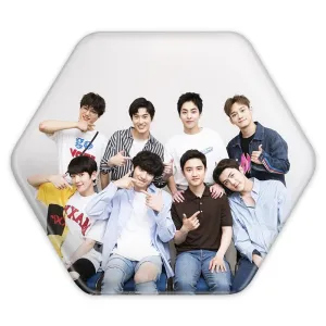 پیکسل شش ضلعی گروه اکسو EXO