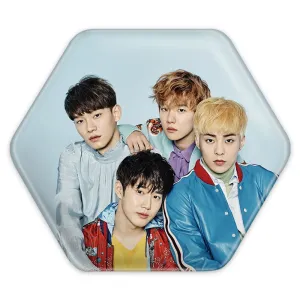 پیکسل شش ضلعی گروه اکسو EXO