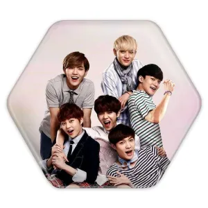 پیکسل شش ضلعی گروه اکسو EXO
