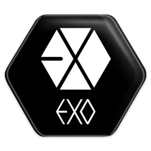 پیکسل شش ضلعی گروه اکسو EXO