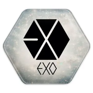 پیکسل شش ضلعی گروه اکسو EXO