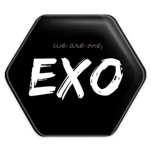 پیکسل شش ضلعی گروه اکسو EXO
