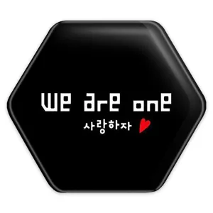 پیکسل شش ضلعی گروه اکسو EXO