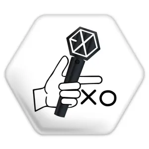 پیکسل شش ضلعی گروه اکسو EXO