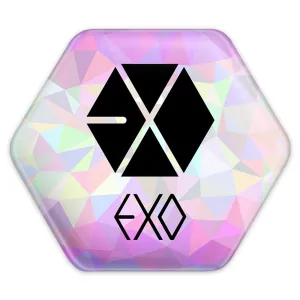 پیکسل شش ضلعی گروه اکسو EXO