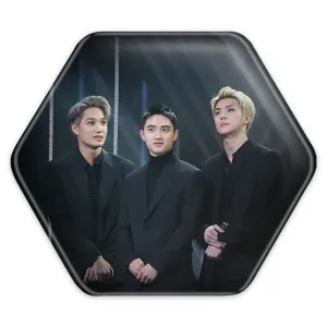 پیکسل شش ضلعی گروه اکسو EXO