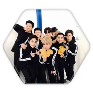 پیکسل شش ضلعی گروه اکسو EXO