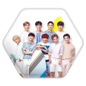 پیکسل شش ضلعی گروه اکسو EXO
