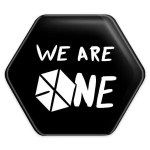 پیکسل شش ضلعی گروه اکسو EXO