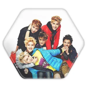 پیکسل شش ضلعی گروه اکسو EXO