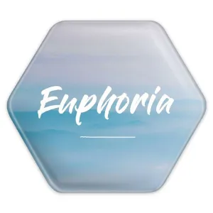 پیکسل شش ضلعی سریال سرخوشی Euphoria‎