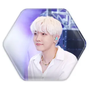 پیکسل شش ضلعی جی هوپ J Hope گروه بی تی اس BTS