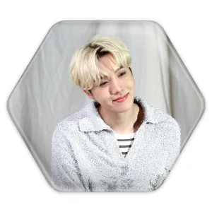 پیکسل شش ضلعی جی هوپ J Hope گروه بی تی اس BTS