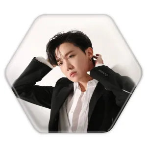 پیکسل شش ضلعی جی هوپ J Hope گروه بی تی اس BTS