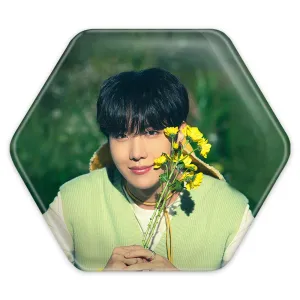پیکسل شش ضلعی جی هوپ J Hope گروه بی تی اس BTS