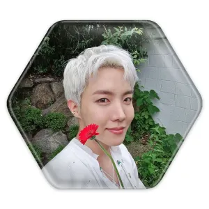 پیکسل شش ضلعی جی هوپ J Hope گروه بی تی اس BTS