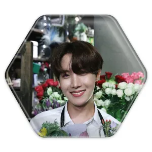 پیکسل شش ضلعی جی هوپ J Hope گروه بی تی اس BTS