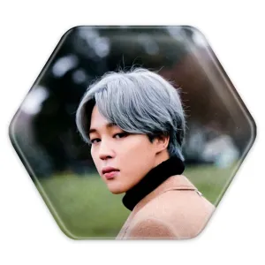پیکسل شش ضلعی جیمین Jimin گروه بی تی اس BTS