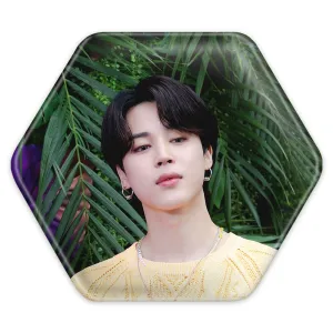 پیکسل شش ضلعی جیمین Jimin گروه بی تی اس BTS