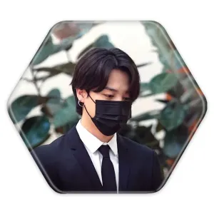 پیکسل شش ضلعی جیمین Jimin گروه بی تی اس BTS