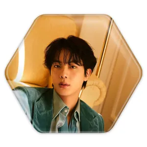 پیکسل شش ضلعی جین Jin گروه بی تی اس BTS