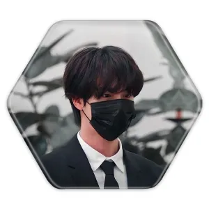 پیکسل شش ضلعی جین Jin گروه بی تی اس BTS