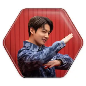 پیکسل شش ضلعی جونگ کوک Jung Kook گروه بی تی اس BTS