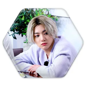 پیکسل شش ضلعی جونگ کوک Jung Kook گروه بی تی اس BTS